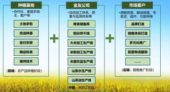 金友米業會員項目 打造國內領先的生態農產品服務與信息咨詢平臺